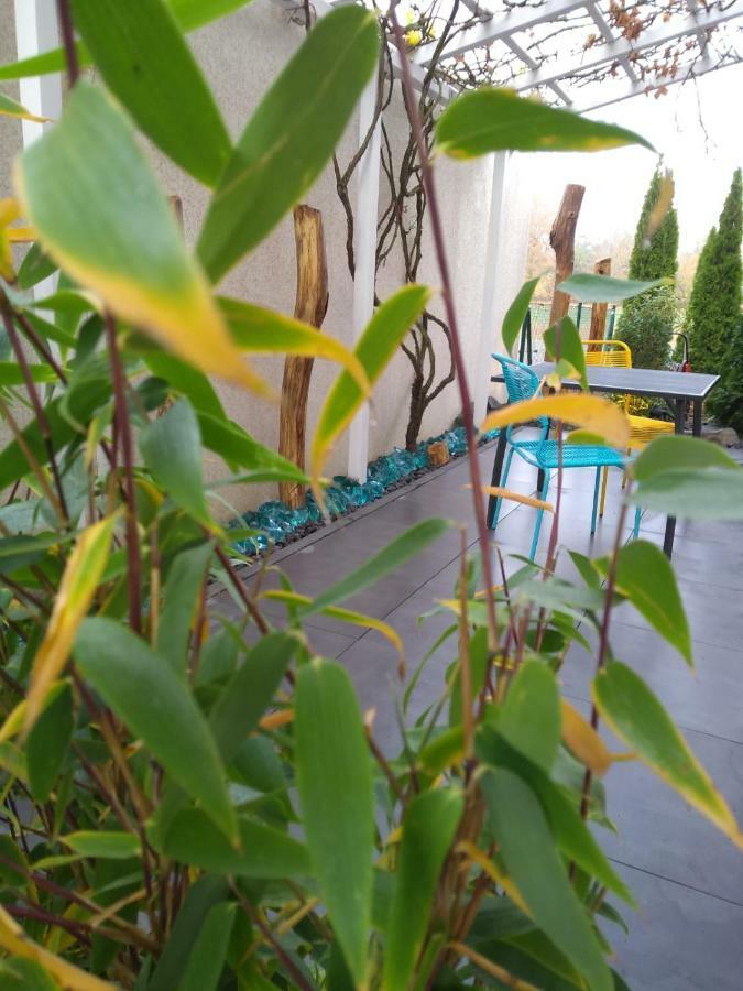 Art & Nature Apartments In Der Naehe Ffm-Messe Bad Vilbel Exterior photo